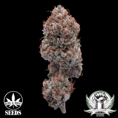 attitude usa buds and roses juicy gushersxlegend og 2_400x400.jpg