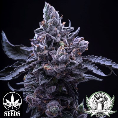 attitude usa buds and roses platinum cookiesxgelato 33 2_400x400.jpg