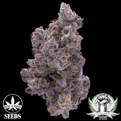 attitude usa buds and roses platinum cookiesxgelato 33 3_400x400.jpg