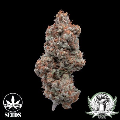 attitude usa buds and roses super lemon haze legend og 1_400x400.jpg