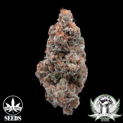 attitude usa buds and roses super lemon haze legend og 3_400x400.jpg