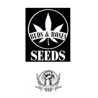 Buds and Roses Seeds Grapes & Cream x Legend OG