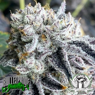 Bulletproof Genetics Seeds Deep A.F.