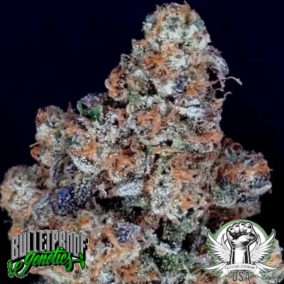 Bulletproof Genetics Seeds Puppy Chow