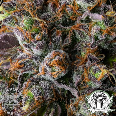 attitude usa compound strawberry skrilla 6_400x400.jpg