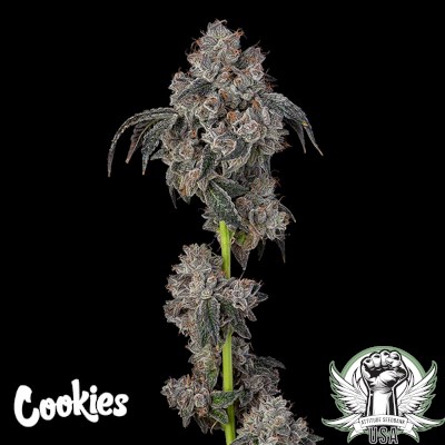 attitude usa cookies blueberry cherries 1_400x400.jpg