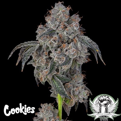 Cookies Seeds Blueberry Cherries