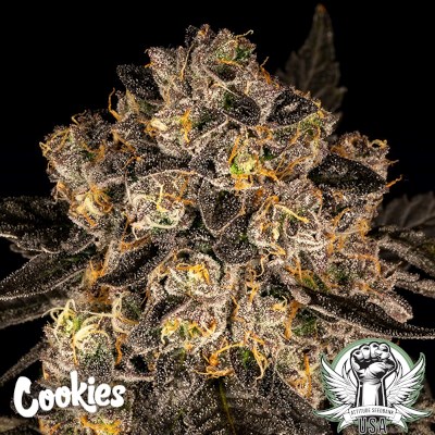 attitude usa cookies cherry fritter 2_400x400.jpg