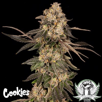 attitude usa cookies cherry fritter 3_400x400.jpg