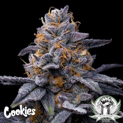 attitude usa cookies trop cookies x hollywood 2_400x400.jpg