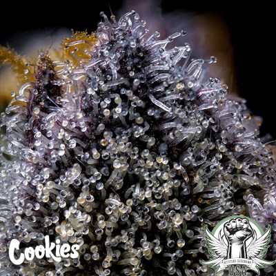 attitude usa cookies trop cookies x hollywood 3_400x400.jpg