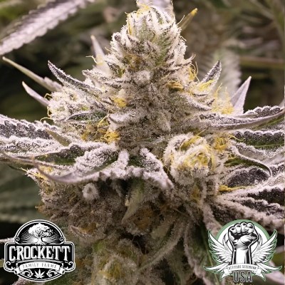 Crockett Family Farms Seeds Banana Split