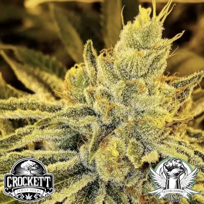 Crockett Family Farms Seeds Strawnana Juice BX