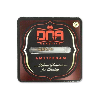 attitude usa dna genetics seeds packaging_400x400.jpg