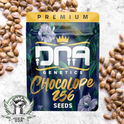 DNA Genetics Seeds Chocolope 256