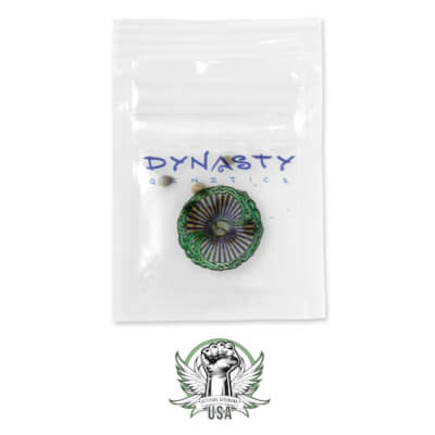 attitude usa dynasty genetics pack_400x400.jpg