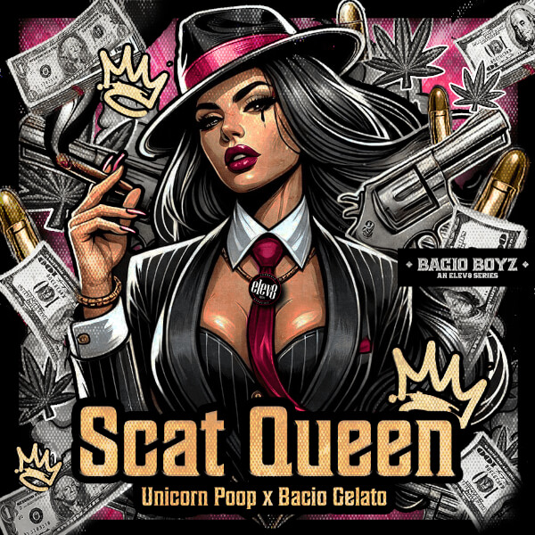 Elev8 Seeds Scat Queen