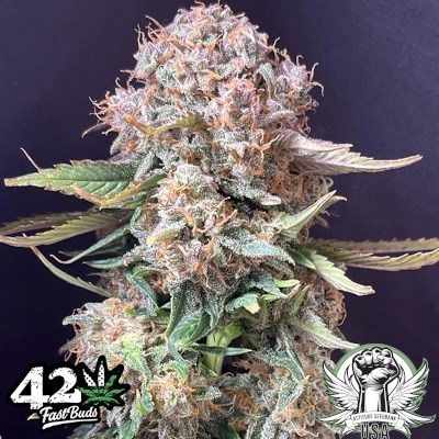 attitude usa fastbuds sour jealousy auto 3_400x400.jpg