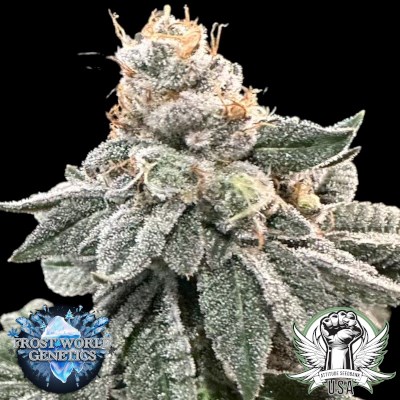 Frost World Genetics Citrix Acid