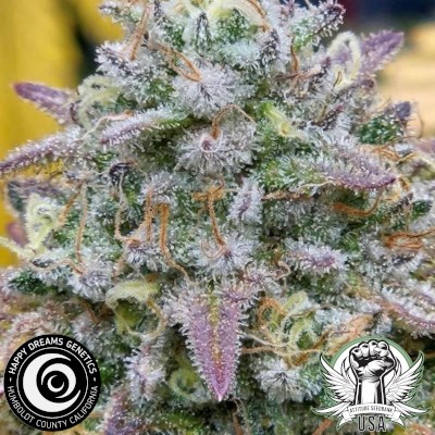 attitude usa happy dreams vanilla cheesecake 2_400x400.jpg
