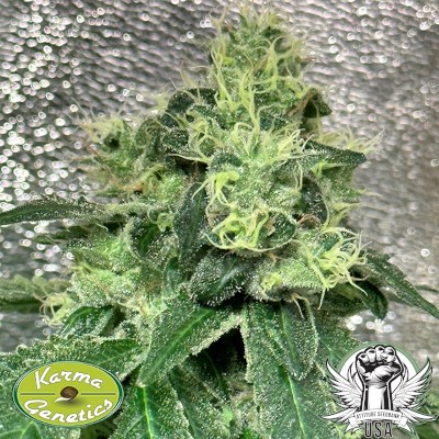 attitude usa karma genetics pinky sour2_400x400.jpg