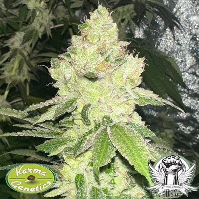 attitude usa karma genetics pinky sour4_400x400.jpg