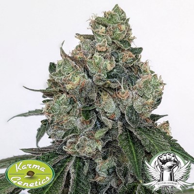 attitude usa karma genetics sour frootz2_400x400.jpg