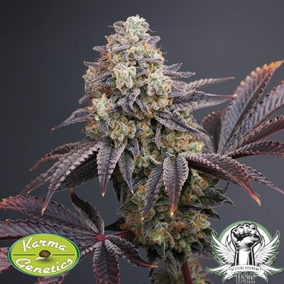 attitude usa karma genetics zowahh v2 2_400x400.jpg