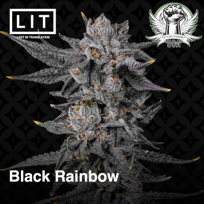 LIT Farms Seeds Black Rainbow