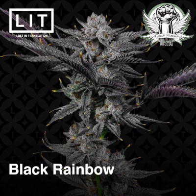 attitude usa lit farms black rainbow 2_400x400.jpg