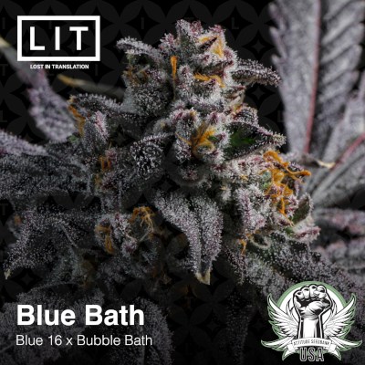 attitude usa lit farms blue bath 3_400x400.jpg