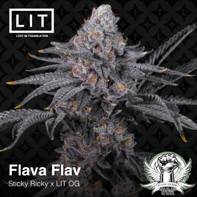 attitude usa lit farms flava flav 2_400x400.jpg