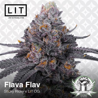 attitude usa lit farms flava flav 3_400x400.jpg