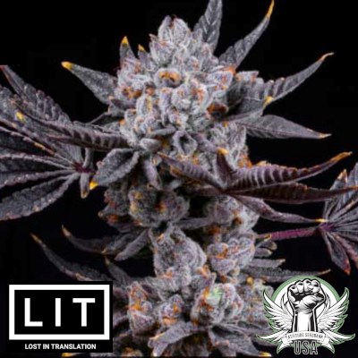 LIT Farms Seeds Lemon Cherry Dosi