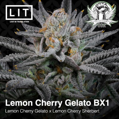 attitude usa lit farms lemon cherry gelato bx1 2_400x400.jpg