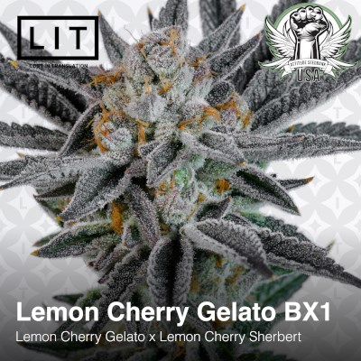 attitude usa lit farms lemon cherry gelato bx1 3_400x400.jpg