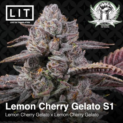 attitude usa lit farms lemon cherry gelato s1 2_400x400.jpg