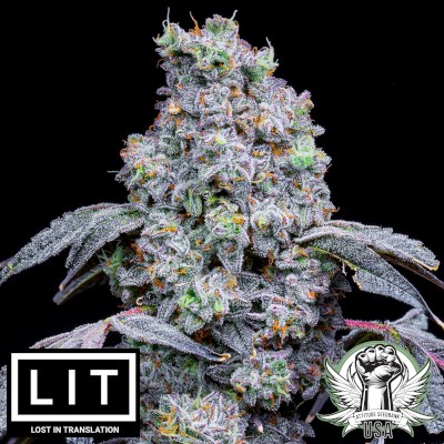 LIT Farms Seeds Lemon Cherry Mints