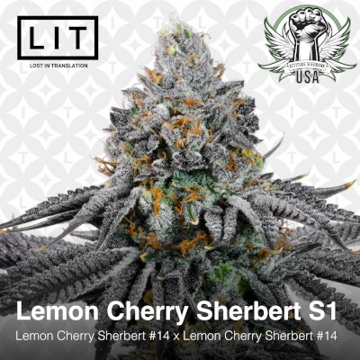 attitude usa lit farms lemon cherry sherbert s1 2_400x400.jpg