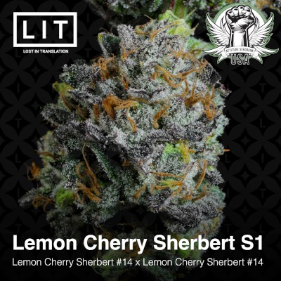 attitude usa lit farms lemon cherry sherbert s1 3_400x400.jpg