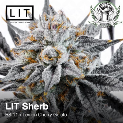 attitude usa lit farms lit sherb 2_400x400.jpg