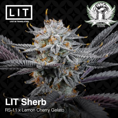 attitude usa lit farms lit sherb 6_400x400.jpg