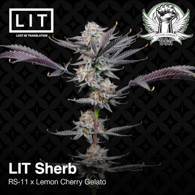 attitude usa lit farms lit sherb 7_400x400.jpg