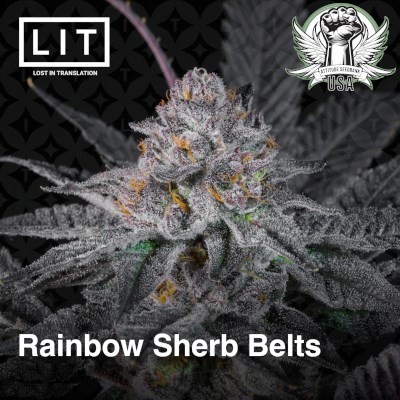 LIT Farms Seeds Rainbow Sherb Belts