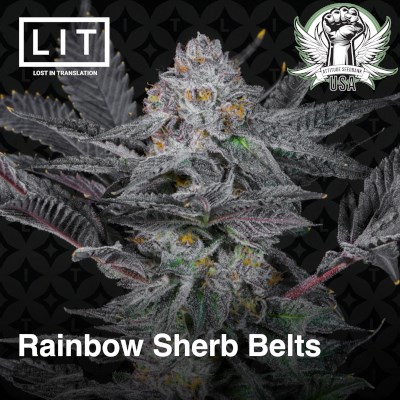 attitude usa lit farms rainbow sherb belts 2_400x400.jpg