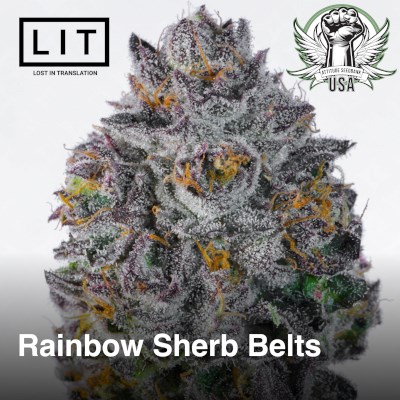 attitude usa lit farms rainbow sherb belts 3_400x400.jpg