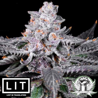 LIT Farms Seeds Rainbow Zoap