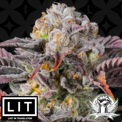 LIT Farms Seeds Road Head