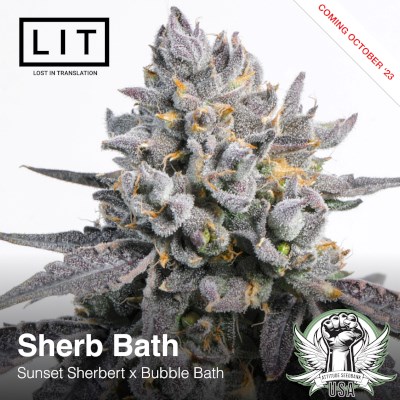 attitude usa lit farms sherb bath 3_400x400.jpg