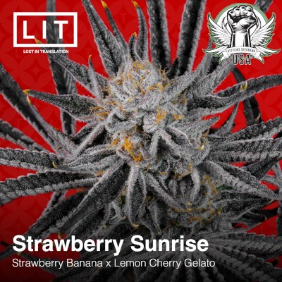 attitude usa lit farms strawberry sunrise 2_400x400.jpg